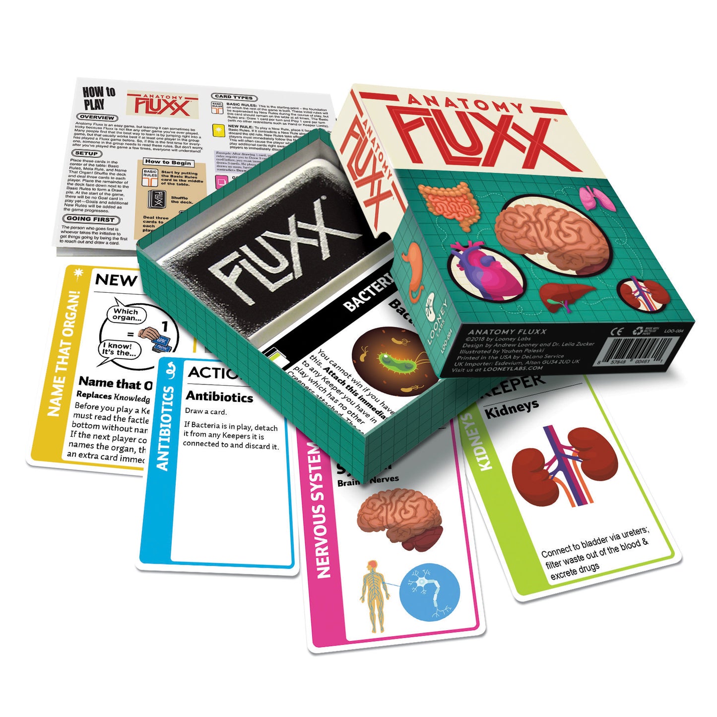 Looney Labs - Anatomy Fluxx - LOO084 image 3