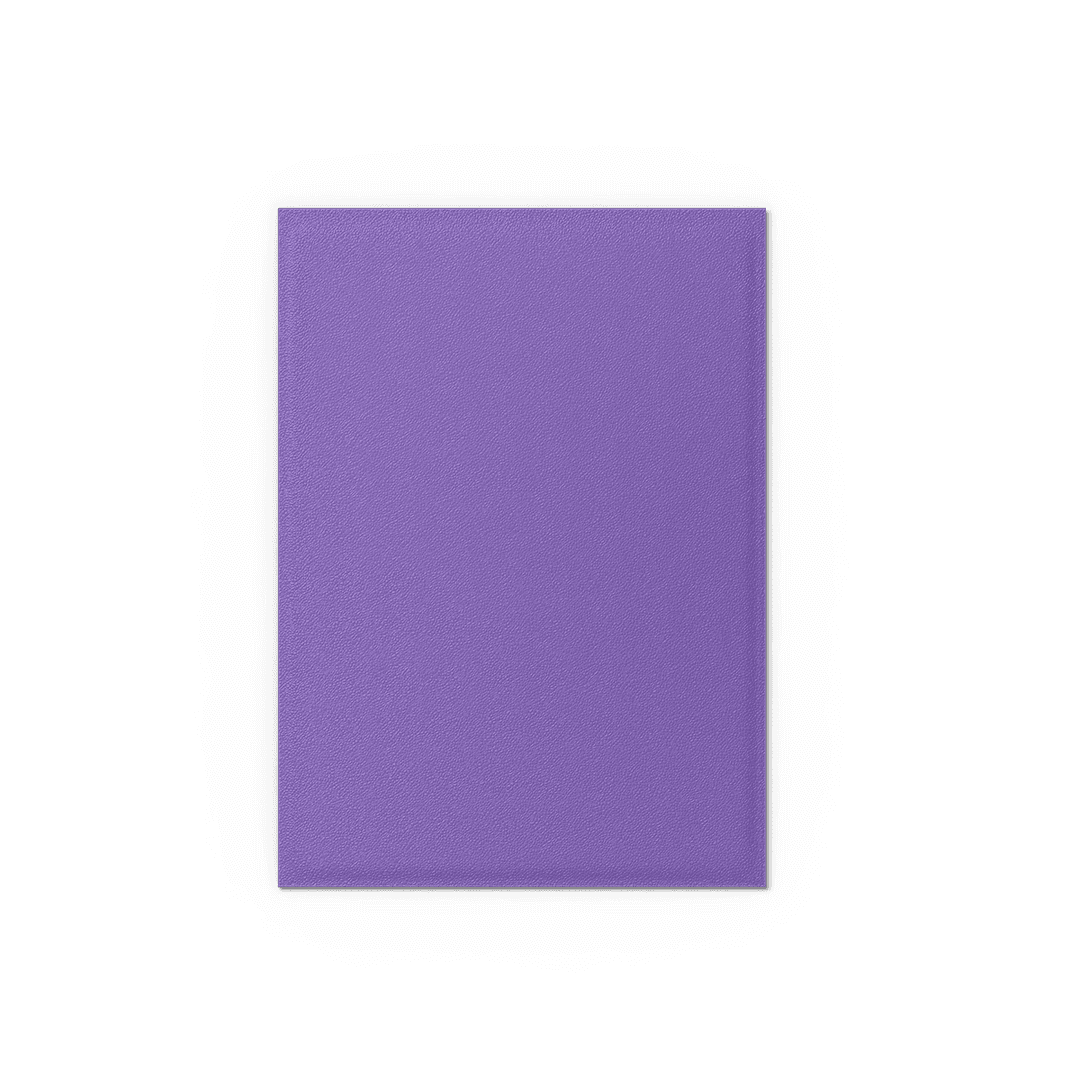 Dragon Shield Card Sleeves - 100 Count - Dual Matte: Nebula (Purple) and Silver