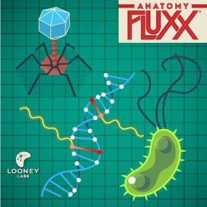 Looney Labs - Anatomy Fluxx - LOO084 image 4
