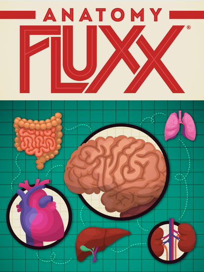 Looney Labs - Anatomy Fluxx - LOO084 image 1