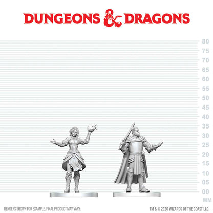 Dungeons & Dragons - Knight & Mage Apprentice - Nolzur's  Marvelous Miniatures