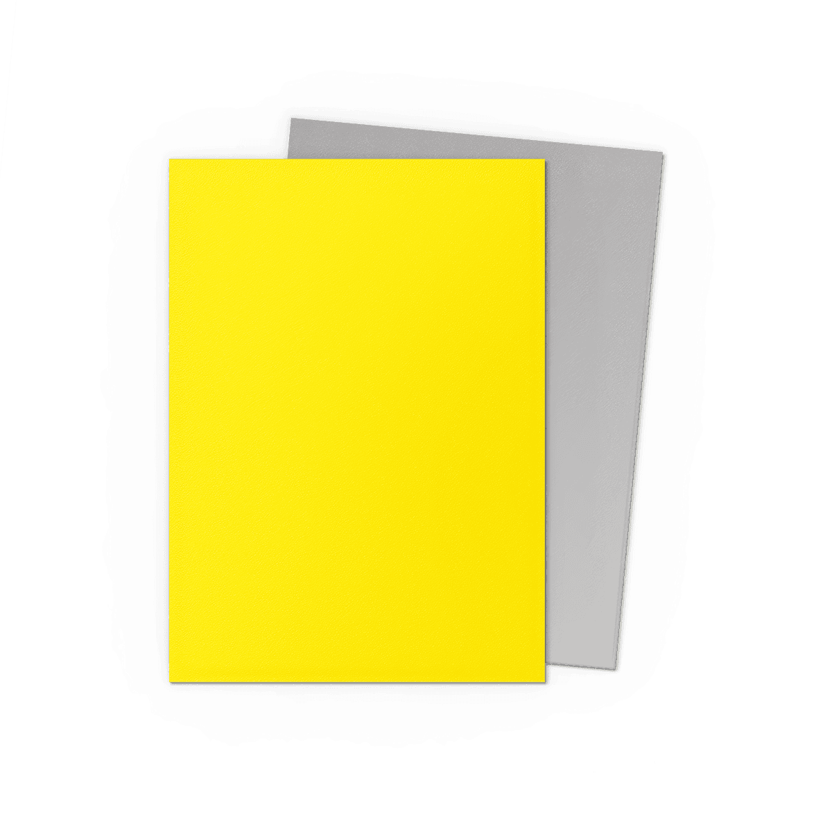 Dragon Shield Card Sleeves - 100 Count - Dual Matte: Yellow and Silver