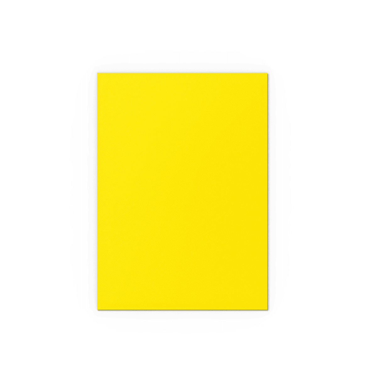 Dragon Shield Card Sleeves - 100 Count - Dual Matte: Yellow and Silver