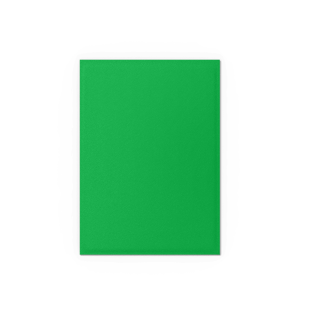 Dragon Shield Card Sleeves - 100 Count - Dual Matte: Apple Green and Silver