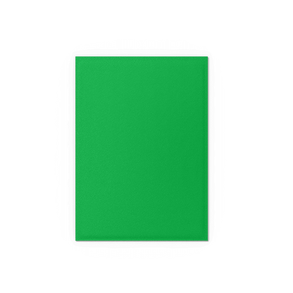 Dragon Shield Card Sleeves - 100 Count - Dual Matte: Apple Green and Silver
