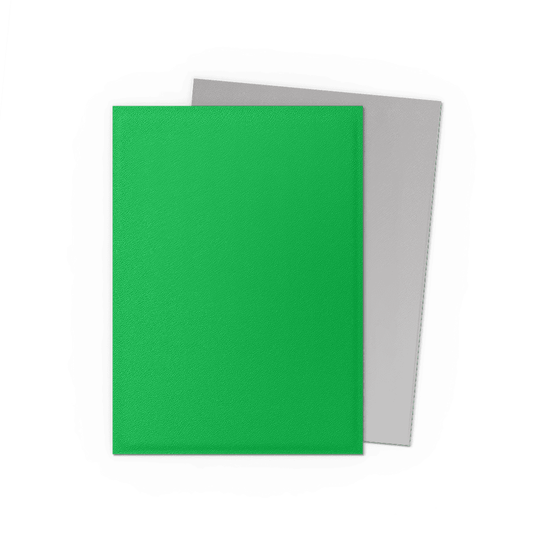Dragon Shield Card Sleeves - 100 Count - Dual Matte: Apple Green and Silver