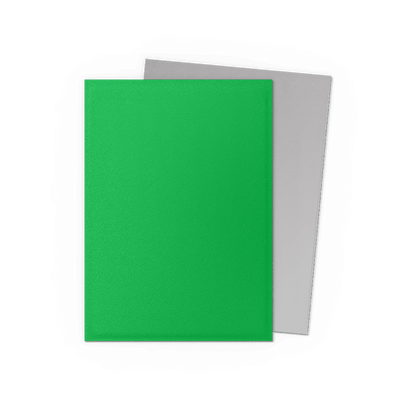 Dragon Shield Card Sleeves - 100 Count - Dual Matte: Apple Green and Silver