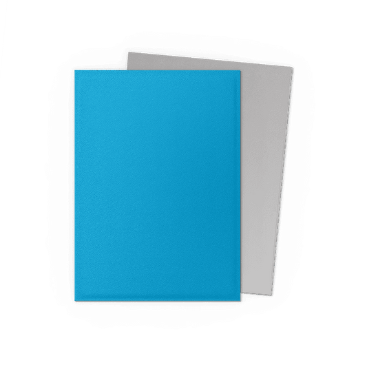Dragon Shield Card Sleeves - 100 Count - Dual Matte: Sky Blue and Silver