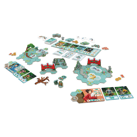 KOI - A Beautiful Water Feature Board Game - dv Giochi