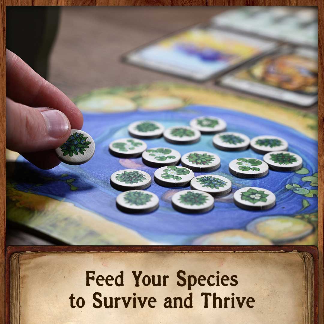 Evolution - Board Game - North Star Games