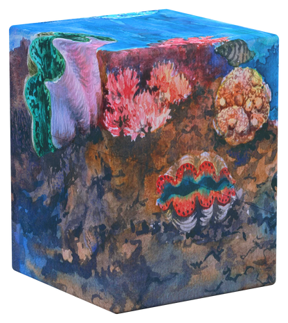 Coral Places: Seaview Hush - Deck Box - Ultimate Guard