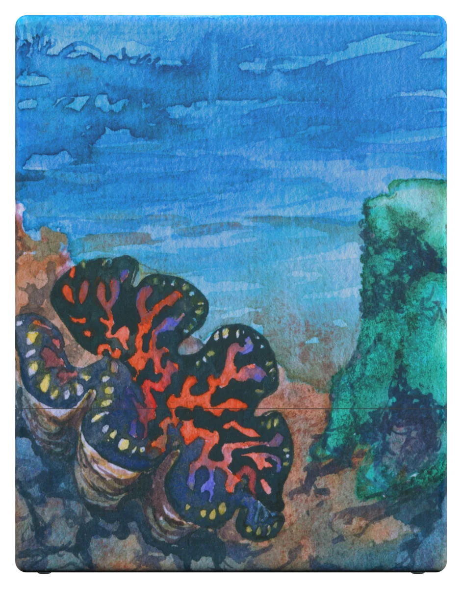 Coral Places: Seaview Hush - Deck Box - Ultimate Guard