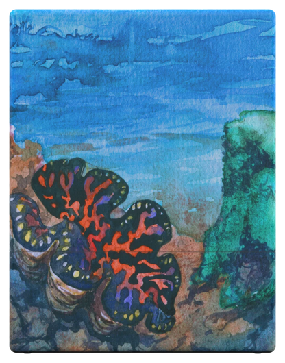 Coral Places: Seaview Hush - Deck Box - Ultimate Guard