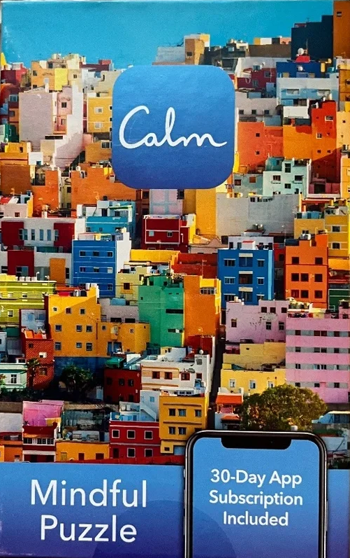 Calm on the Go - 100 pc Puzzle - Brightly Colored Houses