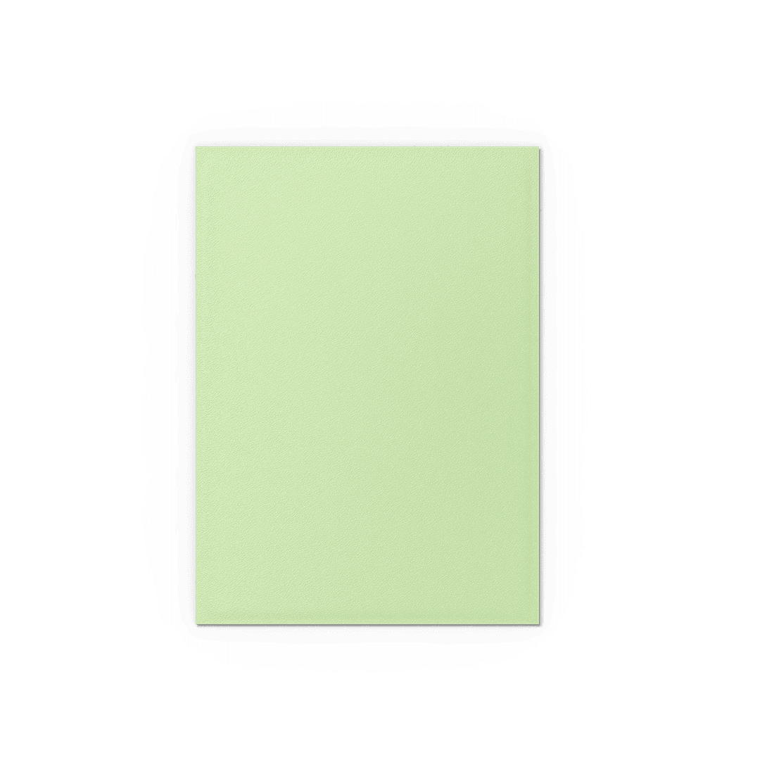 Dragon Shield Card Sleeves - 100 Count - Matte: Pastel Dual Gooseberry