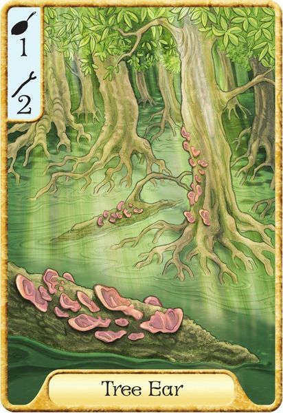 Morels  - Strategic Foraging and Feasting for Two Card Game